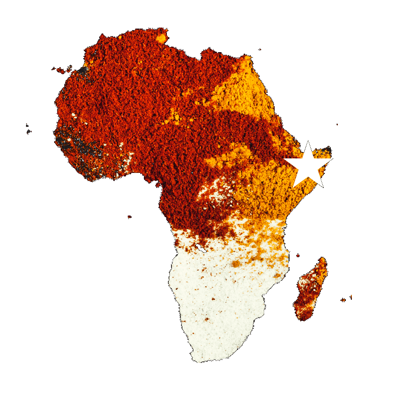 The map of Africa designed with spices